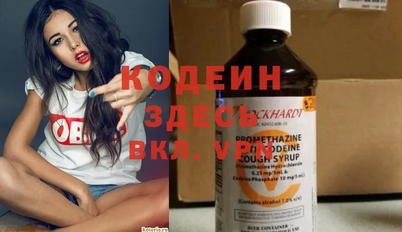 MEGA tor  Железногорск  Кодеин Purple Drank  мориарти формула  наркота 