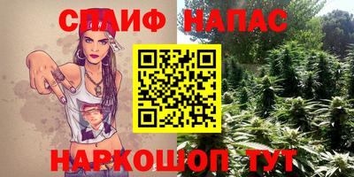 дживик Бийск