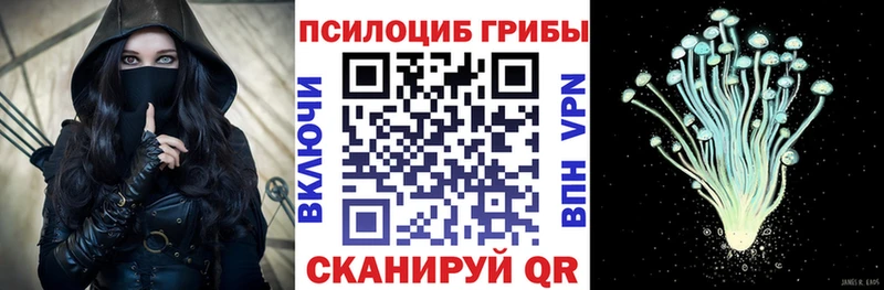 где купить   Железногорск  Галлюциногенные грибы Magic Shrooms 