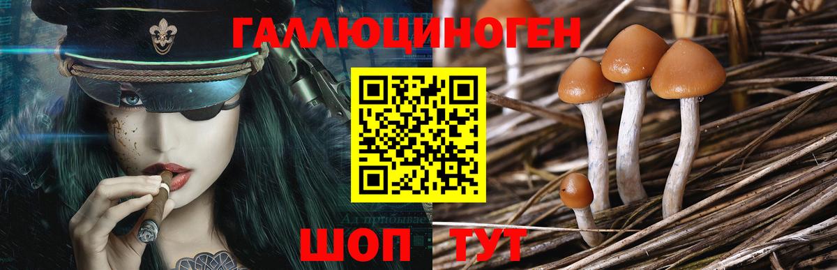 Псилоцибиновые грибы ЛСД  Железногорск  Псилоцибиновые грибы MAGIC MUSHROOMS 