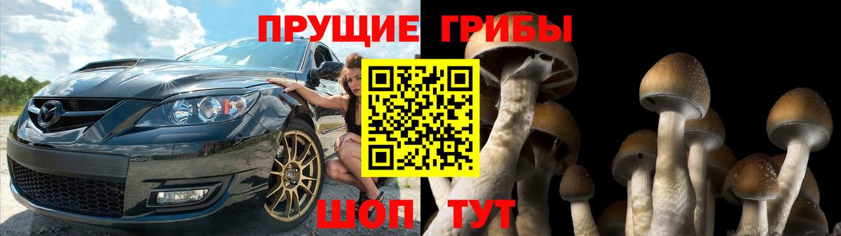 Галлюциногенные грибы Magic Shrooms Железногорск