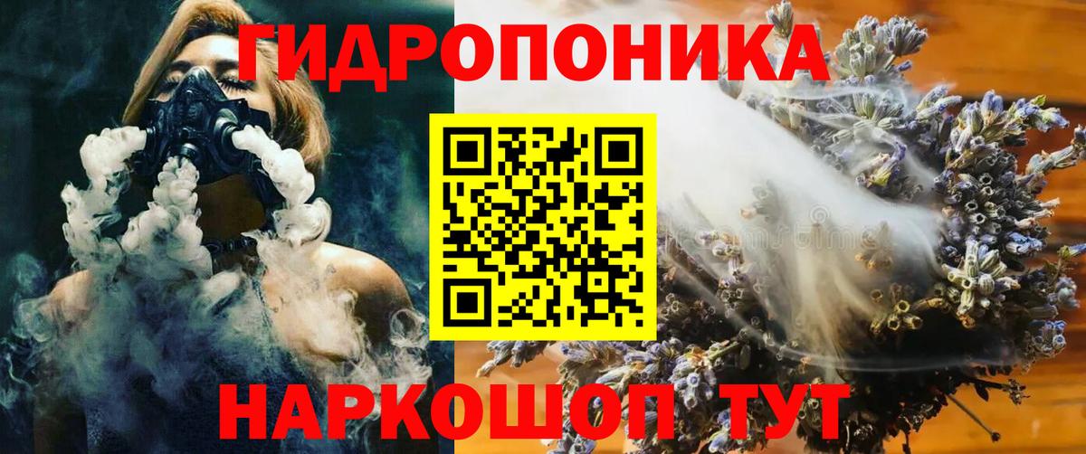Бошки марихуана планчик  Бошки Шишки индика  Канабис планчик  Канабис семена  Вход с VPN  Железногорск 
